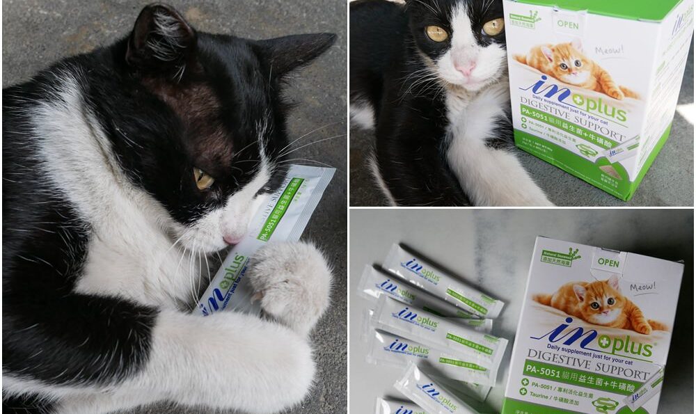 貓益生菌分享 | IN-Plus寵物營養品-PA-5051貓用益生菌+牛磺酸