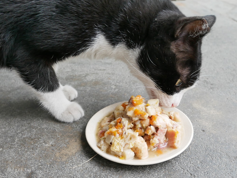 寵物食品分享 | GOMO PET FOOD鮮食餐包&保健食品(貓咪、狗狗都能吃)