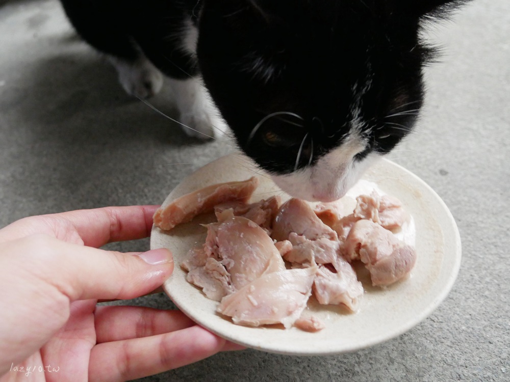 寵物食品分享 | GOMO PET FOOD鮮食餐包&保健食品(貓咪、狗狗都能吃)