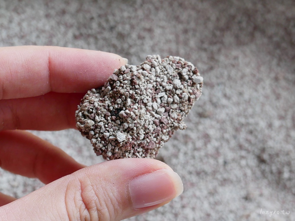 礦砂品牌 | 里德Pro礦砂開箱心得評價-無臭無塵的好用貓砂