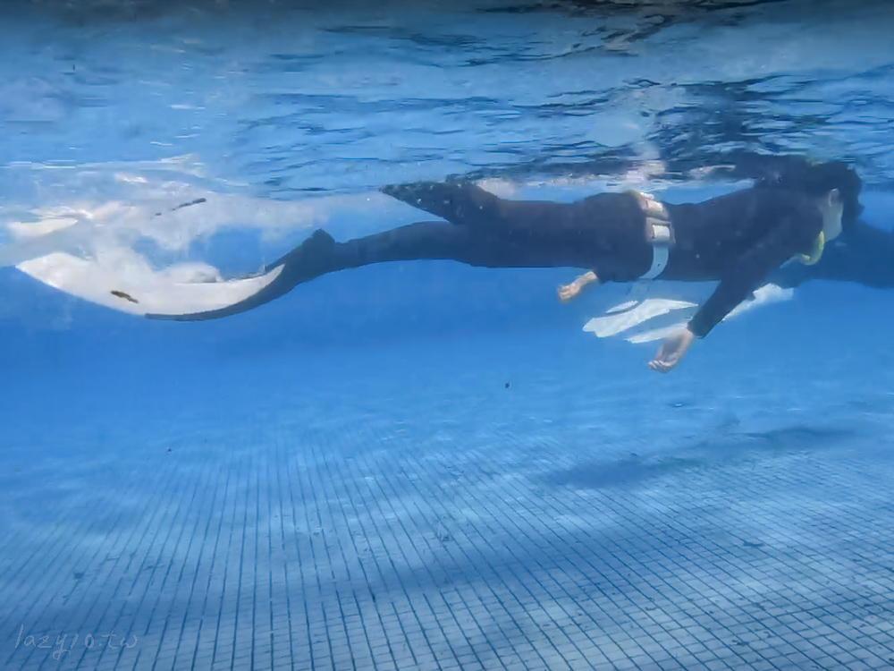 墾丁自由潛水課程推薦 | AIDA2初體驗，怕水也能學！(恆春貓魚小姐的海洋生活)