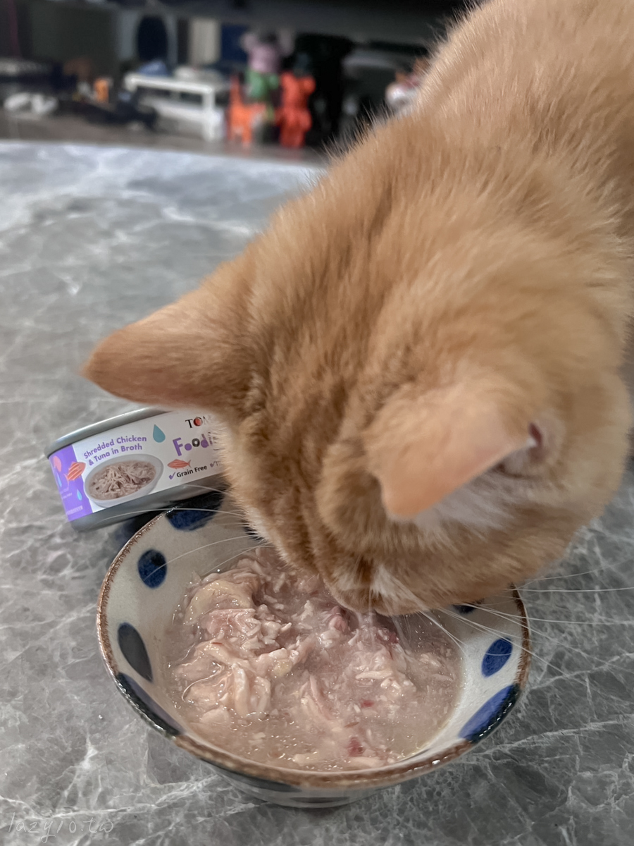 貓咪主食罐頭推薦
